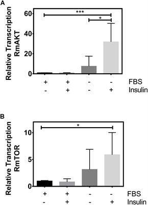 TOR as a Regulatory Target in <mark class="highlighted">Rhipicephalus microplus</mark> Embryogenesis